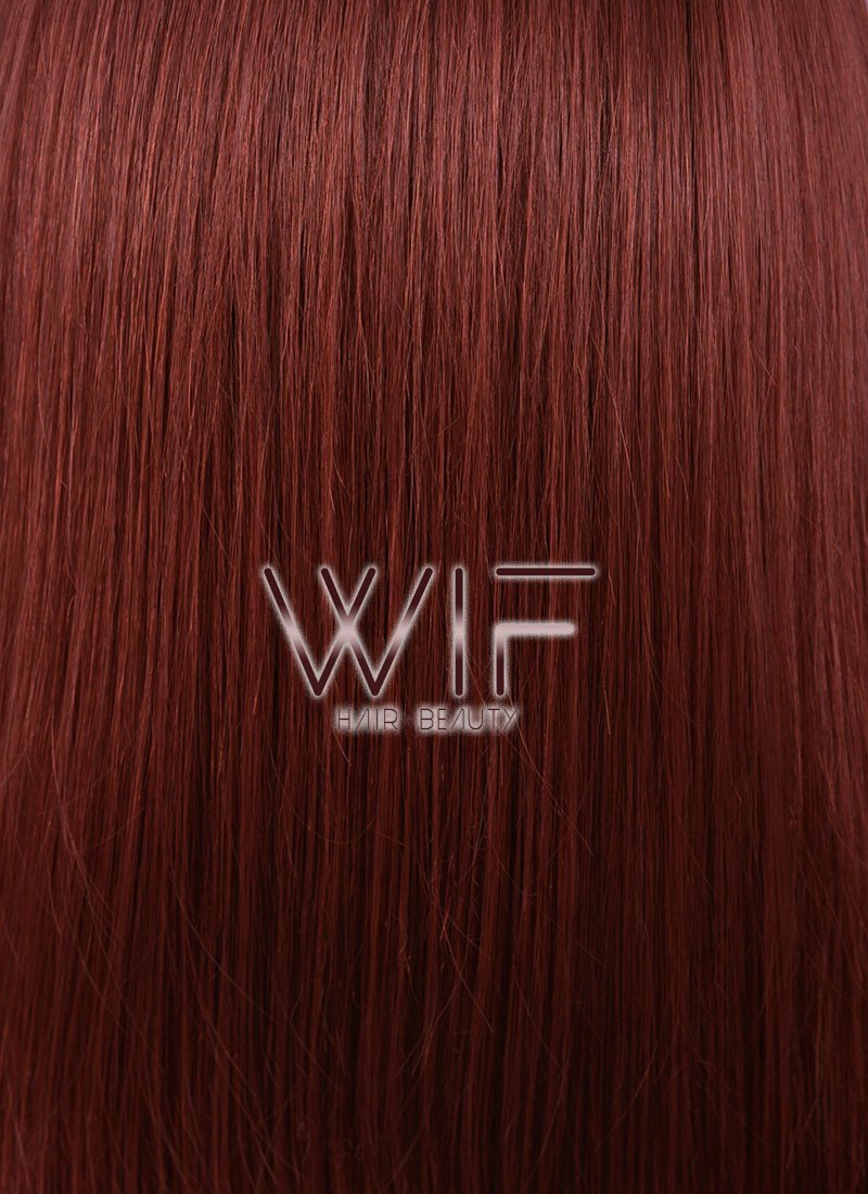 24" Straight Reddish Brown Lace Front Synthetic Wig LF009