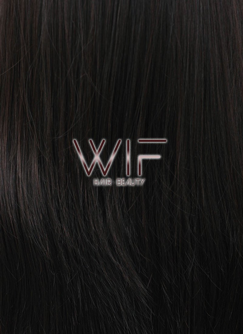 24" Long Straight Black Mixed Brown Lace Front Synthetic Hair Wig LF013