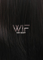 24" Long Straight Black Mixed Brown Lace Front Synthetic Hair Wig LF013