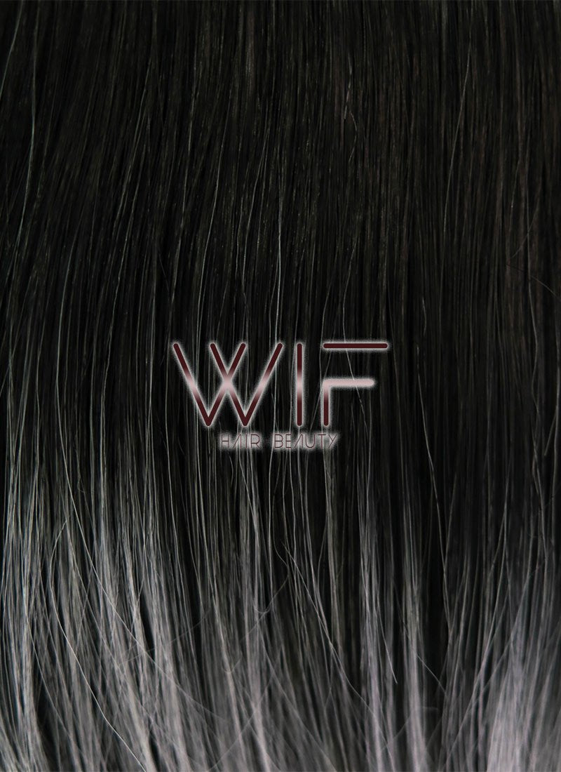 24" Long Straight Black Mixed Grey Lace Front Synthetic Hair Wig LF1572