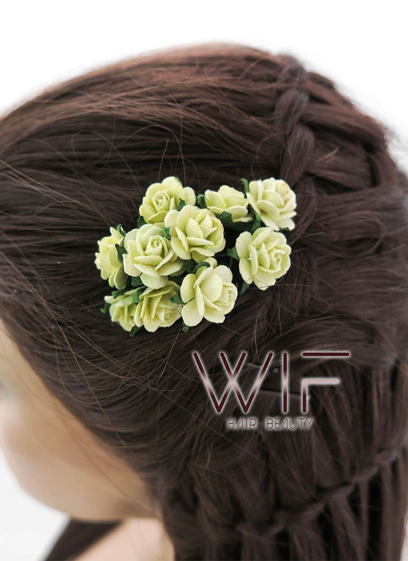 24" Long Brown Braided Lace Front Synthetic Hair Wig LF2003