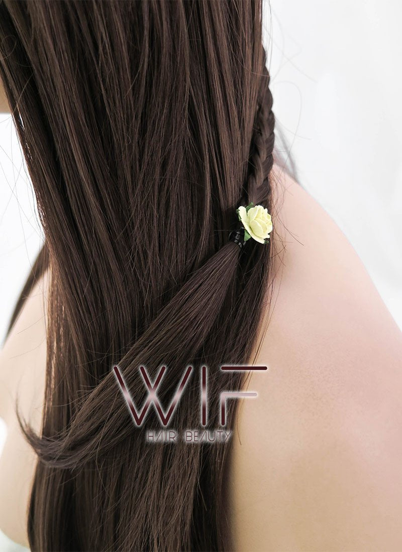 24" Long Brown Braided Lace Front Synthetic Hair Wig LF2003