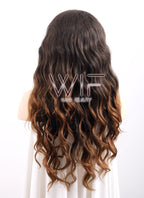 24" Long Wavy 2 Tone Brown Lace Front Synthetic Wig