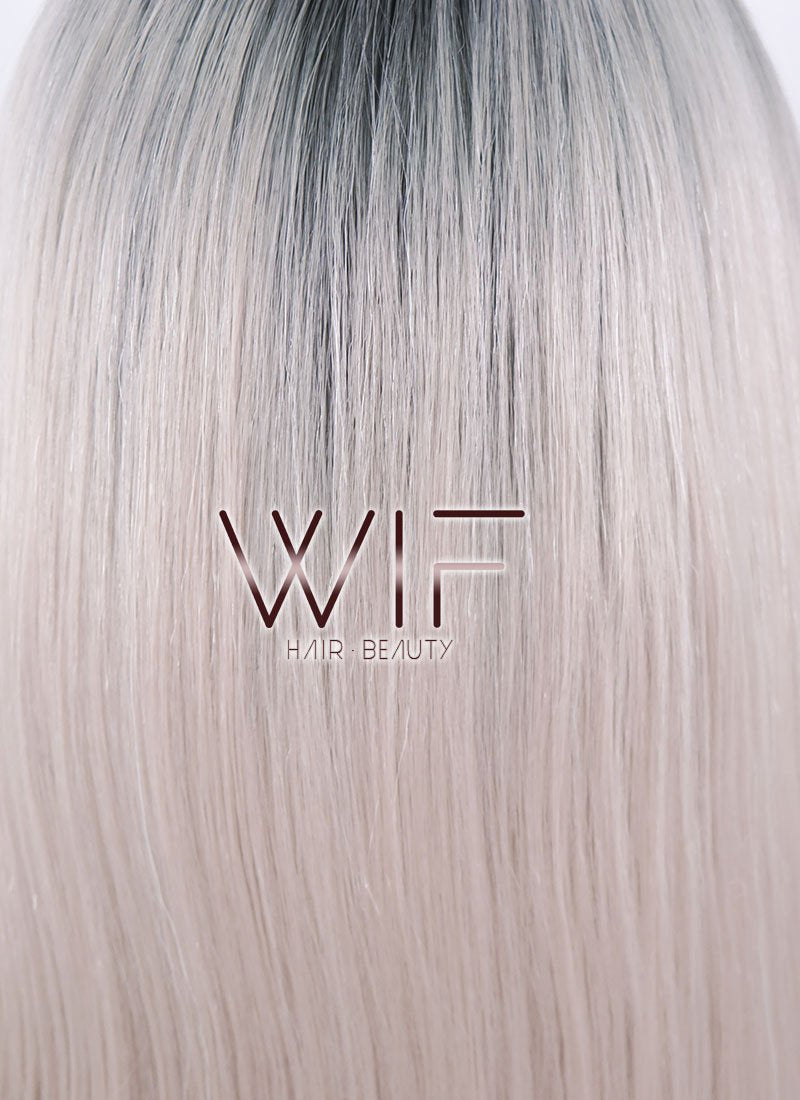 24" Straight Ash Grey With Dark Roots Lace Front Synthetic Wig LF371