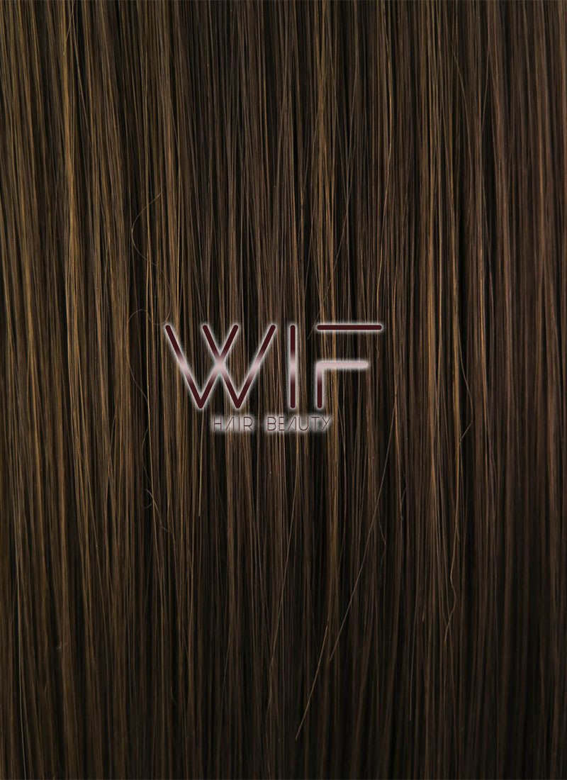 24" Long Straight Brown Lace Front Synthetic Hair Wig LFB006