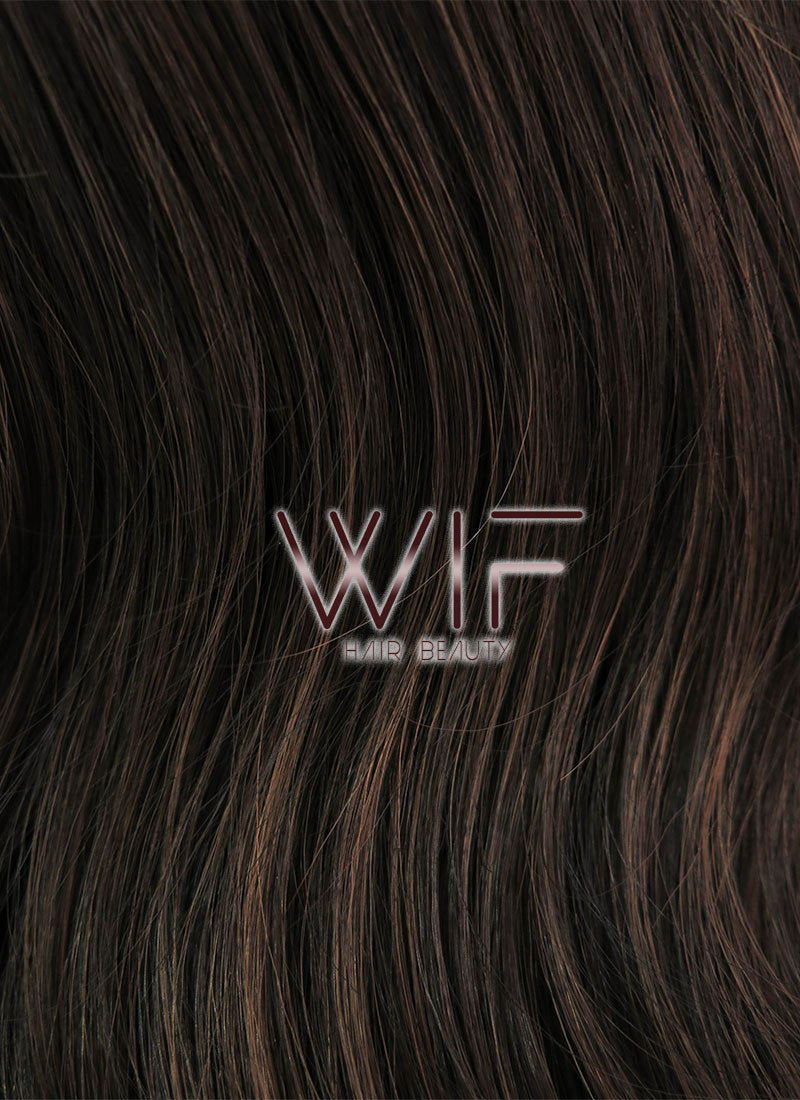 24" Long Curly 2 Tone Brown Lace Front Synthetic Hair Wig LFB361