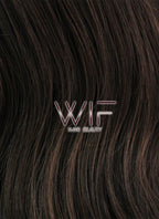 24" Long Curly 2 Tone Brown Lace Front Synthetic Hair Wig LFB361