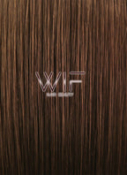24" Straight Brown Lace Front Synthetic Wig LF005