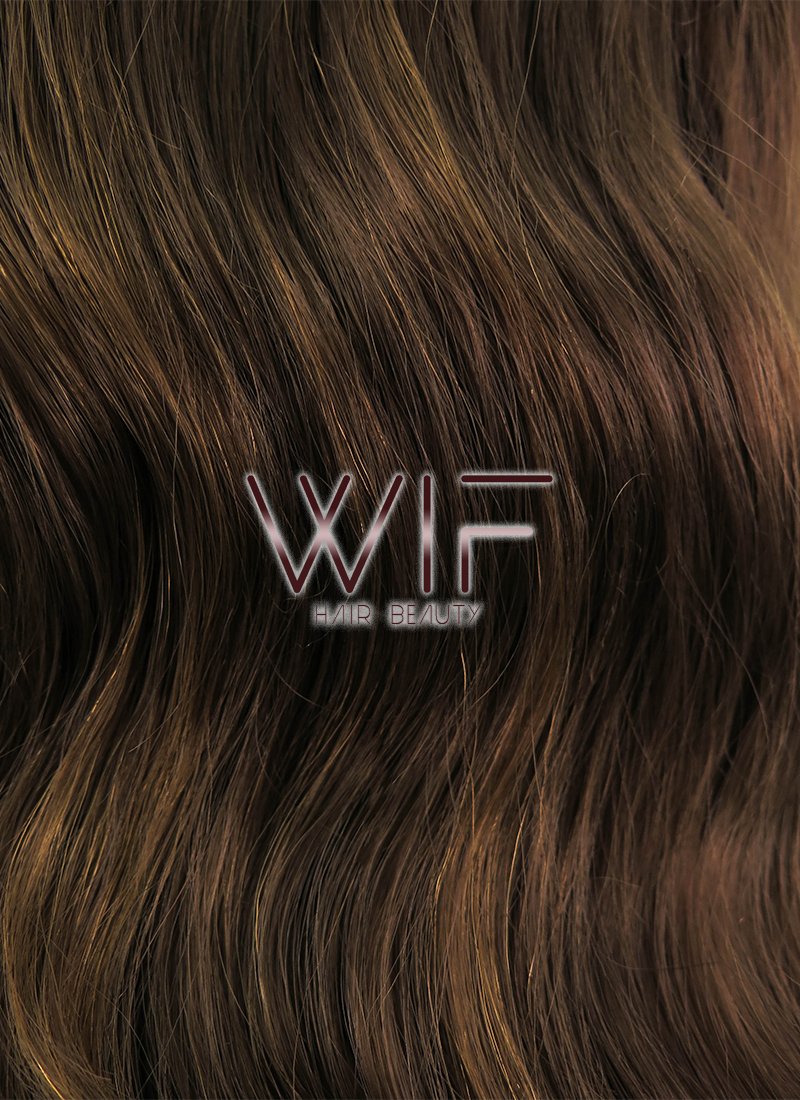 24" Wavy Mixed Brown Lace Front Synthetic Wig LF100