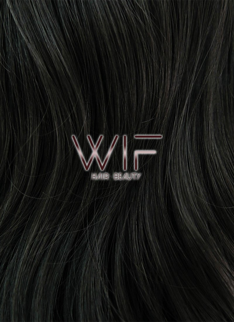 24" Wavy Natural Black Lace Front Synthetic Wig LF111
