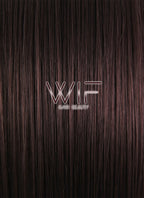 24" Straight Auburn Brown Lace Front Synthetic Wig LF149