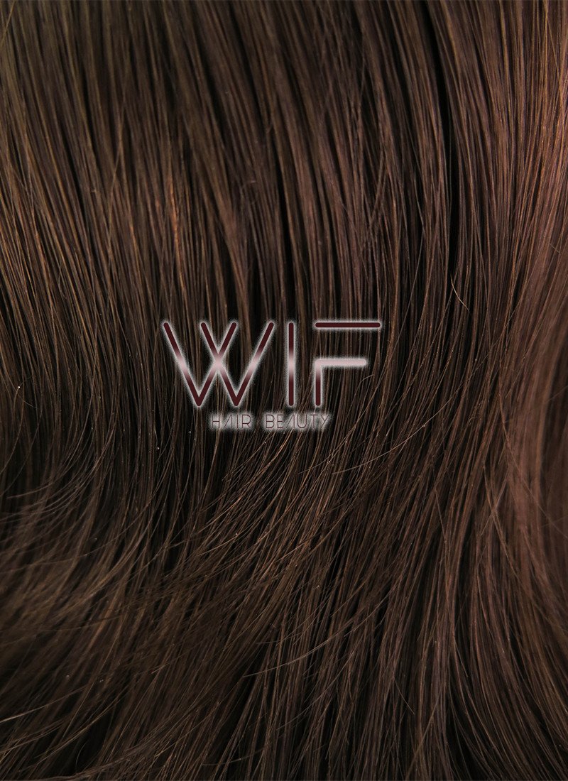 16" Wavy Brown Lace Front Synthetic Wig LF256