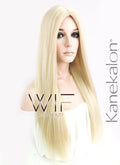 24" Straight Mixed Blonde Synthetic Wig NW007
