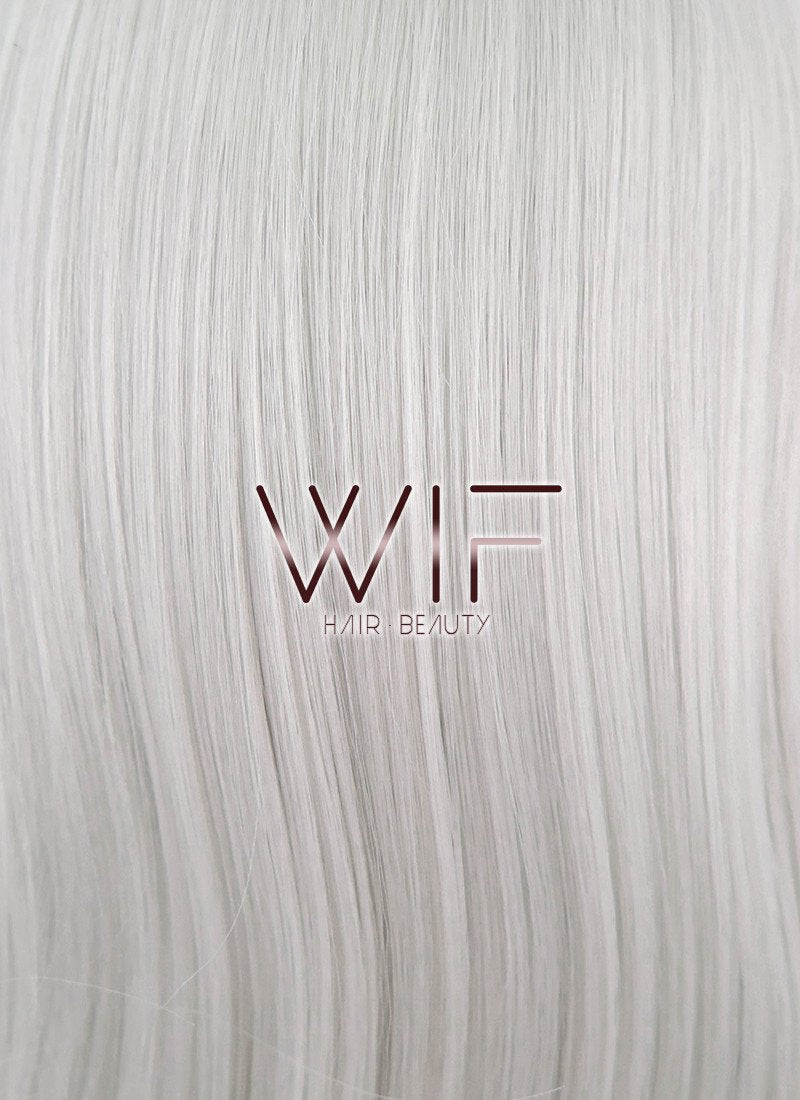 24" Straight Silver Grey Synthetic Wig PL379