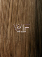 27" Straight Brown Mixed Blonde Synthetic Wig WIG007