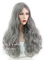 27" Long Curly Grey Fashion Synthetic Hair Wig WIG146