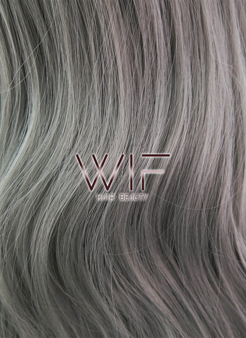 27" Long Curly Grey Fashion Synthetic Hair Wig WIG146